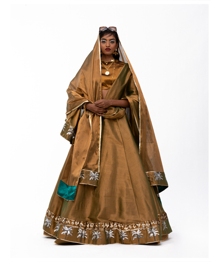 Golden Lehenga with Ravi Blouse Set